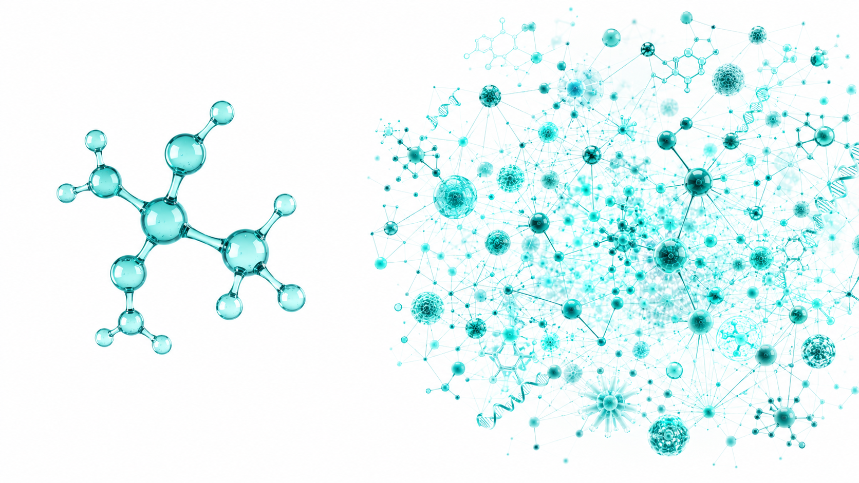 Molecules from metabolism