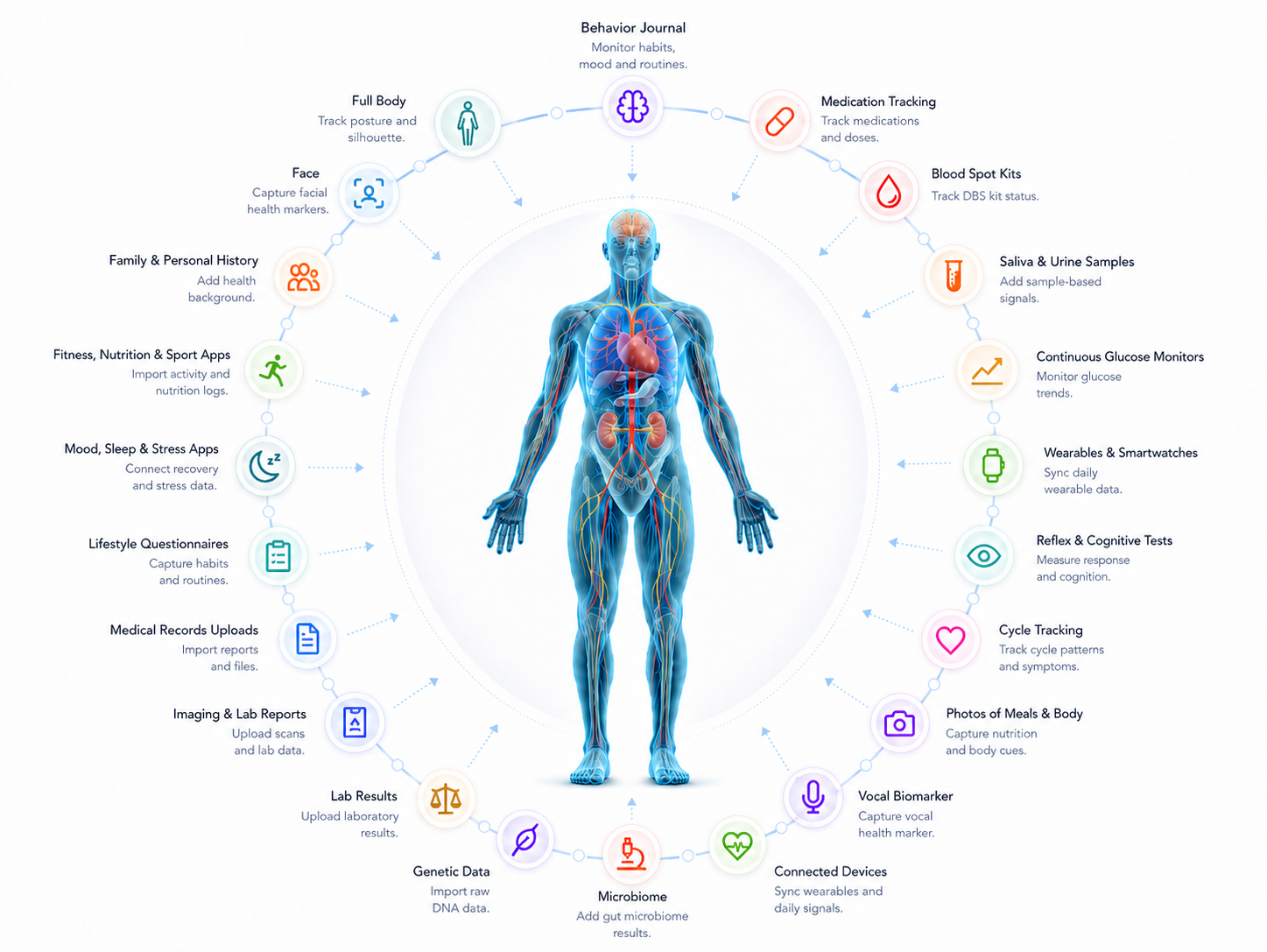 Virtual twin holding biomarkers, habits, symptoms, history, wearables, and change over time.